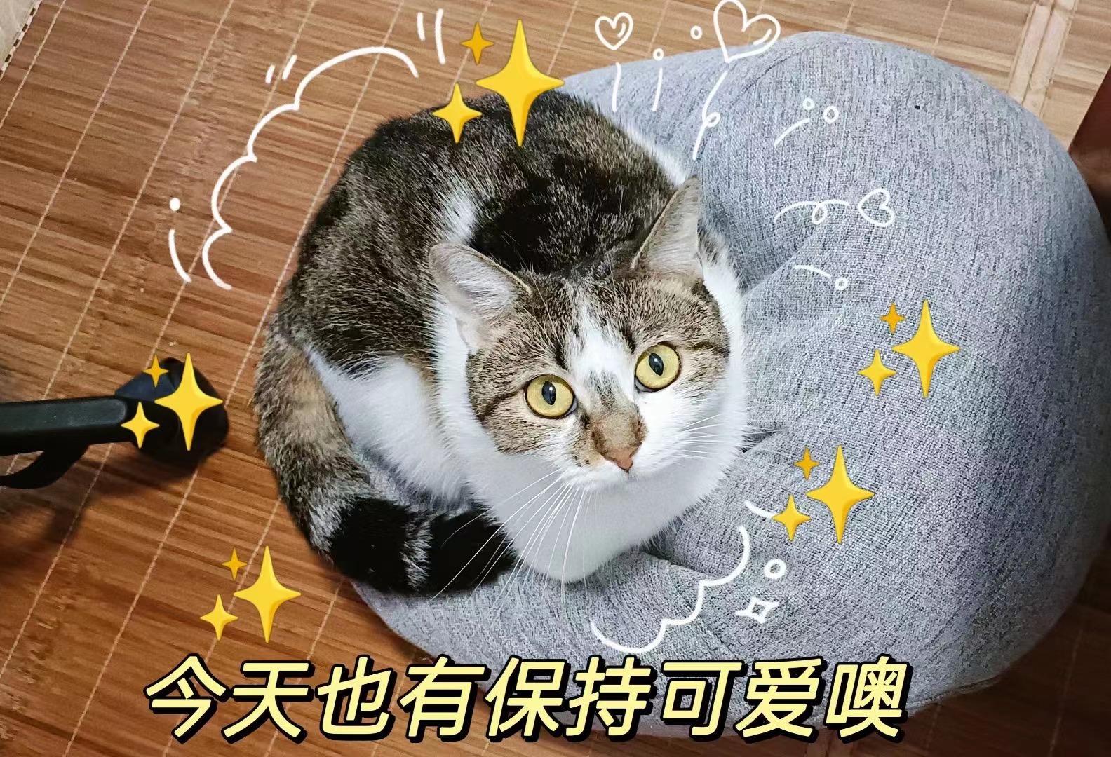 扑睿德州·(中国区)官方网站